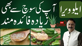 Aloe Vera Benefits  Kawar Gandal Ke Fayde  Aloe Vera Gel Face Mask Hair Growth [upl. by Karb]