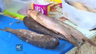 RAW：Fesikh traditional Egyptian food for Sham El Nesseim day [upl. by Neelahtak129]