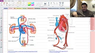 01 Congenital Heart Disease CHD the murmurs physiology [upl. by Chadabe]