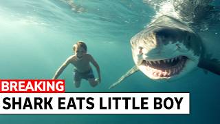 This Shark Attack Video Will Make You Avoid the Ocean Forever [upl. by Yztim]