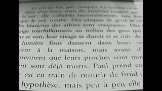 Le ciel est bas gris compact  quotanéantirquot  Michel Houellebecq  chapitre 3  PLab  012022 [upl. by Uhej]