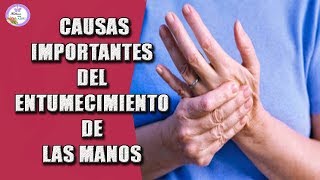 CAUSAS IMPORTANTES DEL ENTUMECIMIENTO DE LAS MANOS [upl. by Rosalie]