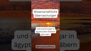 Wissenschaftliche Überraschungen shorts funfacts fakten wissen überraschung interestingfacts [upl. by Arracat315]