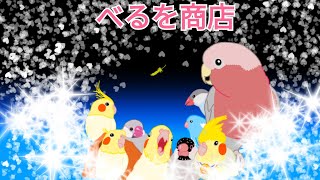 〜私達の思い〜 122土、123日 保護鳥譲渡会＆冬祭り 紹介動画です [upl. by Bray]