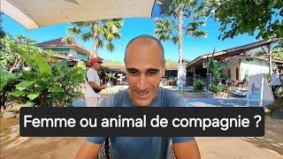 Choisir une femme de compagnie ou un animal de compagnie [upl. by Paymar]