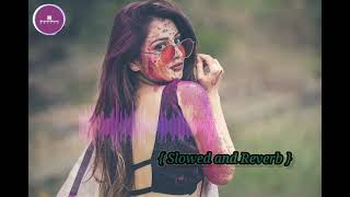 Tohar Mot Hamar Chhot  Slowed and reverb  Bhojpuri holi lofi  Ritesh Pandey Song [upl. by Silverts]