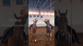 Saddleseat Show Barn 🥰 selectshowhorses [upl. by Ohs884]