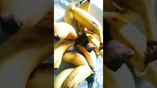 Banana 🍌🍌🍌 mor banana animation funny memes comedy 🤣🤣🍌 [upl. by Nwahsat88]