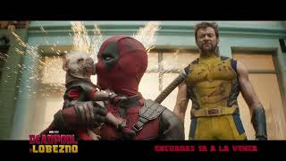 Deadpool Y Lobezno de Marvel Studios  Anuncio Una buena escena de acción a cámara lenta  HD [upl. by Siroval566]