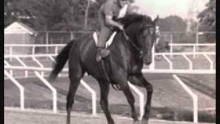 my top 10 american racehorses of the 20th century [upl. by Rentschler]