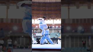 The art of Bunkai Kata karate martialarts [upl. by Aikemot63]