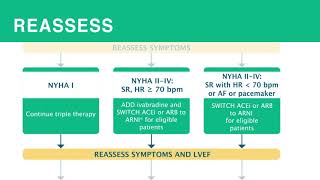 Heart Failure Treatment of HF with Reduced Ejection Fraction HFrEF [upl. by Anauqes]