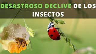 El apocalipsis de los insectos [upl. by Dnalyk]