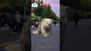 What happened to the big white bear White bear Bear Special effects production please dont ta [upl. by Evelyn]