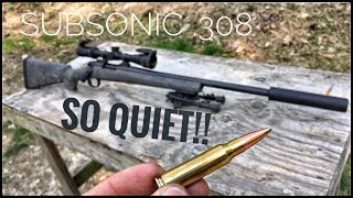 Suppressed 308  How Quiet Is It Silencer Series ep 01 [upl. by Nerraj]