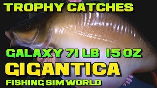 Fishing Sim World Lake Gigantica Trophy Carp  Galaxy Starburst Longfish [upl. by Pulling]