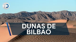 Las Dunas de Bilbao el Sahara mexicano [upl. by Olds]