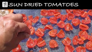 HOW TO MAKE REAL SUN DRIED TOMATOES [upl. by Ahtael499]