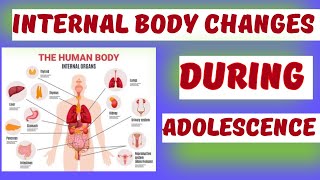 INTERNAL BODY CHANGES DURING ADOLESCENCE childdevelopment childpsychology  ADOLESCENT PERIOD [upl. by Namlak10]