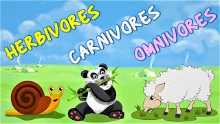 Animals and the Food They Eat  Omnivore  Carnivore  Herbivore  Science Lessons What Animals Eat [upl. by Hocker283]