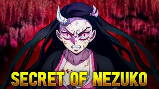 How NEZUKO Survived SUNLIGHT  Swordsmith Village Arc Ending Explained  Loginion [upl. by Ramad]