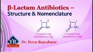 BetaLactam Antibiotics  Structure amp Nomenclature  YR Pharma Tube  Dr Yerra Rajeshwar [upl. by Litch]