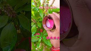 Ravivar ko Tulsi per kya chadhana chahie khul jaati hai kismat Tulsi Mata viral trending video 🙏🕉️🌺 [upl. by Doi462]