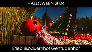 Halloween 2024 Pumpkins at Erlebnisbauernhof Gertrudenhof [upl. by Eleirbag30]