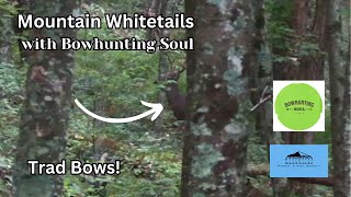 Bowhunting Mountain Deer with Bowhunting Soul [upl. by Auvil]