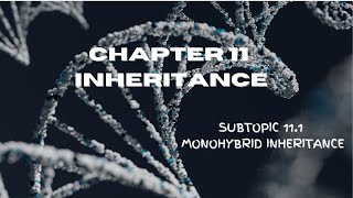 BIOLOGY FORM 5 KSSM  CHAPTER 11 INHERITANCE SUBTOPIC 111 [upl. by Cordova247]