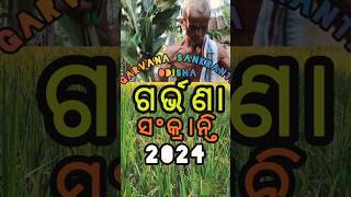 GARVANA SANKRANTI 🥢IN ODISHA🥢VILLAGE FESTIVAL🥢2024🥢JAJPUR♥️ଗର୍ଭଣା ସଂକ୍ରାନ୍ତି 🥢 [upl. by Nolyarb599]