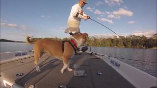 Jigzilla fishing with Coastal Angler Guide Randy Cnota in North Florida [upl. by Bondy]