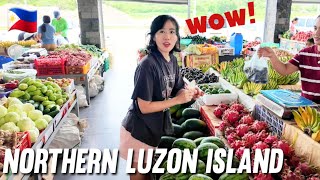 Korean familys visit to northern Luzon begins [upl. by Nnylecoj383]