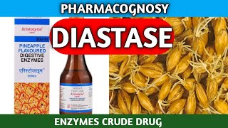 Diastase Pharmacognosy  Diastase  Enzyme Crude Drug [upl. by Ainatit]