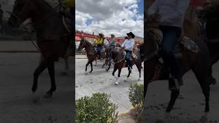 Festival 3000 caballas Chihuahua🇲🇽shorts horse festival chihuahua mexico viralshorts [upl. by Htebazle]