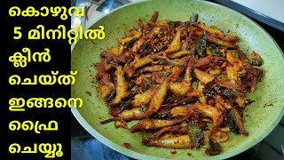 5 മിനിറ്റിൽ കൊഴുവ ക്ലീൻ ചെയ്ത് ഇങ്ങനെ fry ചെയ്യൂ How to Clean and Fry Kozhuva Very Fast [upl. by Pincus187]