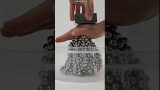 Neodymium Magnet science [upl. by Nemad]