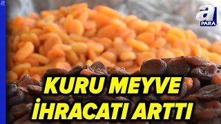 Kuru Meyve İhracatı İlk Çeyrekte 0 Arttı l A Para [upl. by Enneibaf]