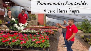 Comprando PLANTAS EN TIERRA NEGRA el vivero más grande de MEDELLÍN🇨🇴 [upl. by Ardolino]