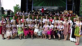 Festzug  Eröffnung  27 AltmainWeinfest Sand am Main 2016 [upl. by Bayly]