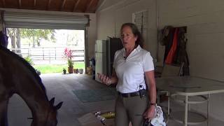 Spooky Horse Behavior What Causes it and How to Fix [upl. by Gewirtz380]