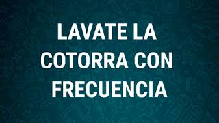 Lavate la cotorra con frecuencia  Audios Whatsapp [upl. by Victorie]