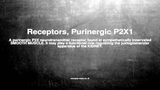 Medical vocabulary What does Receptors Purinergic P2X1 mean [upl. by Lizned481]