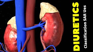 Diuretics Classification SAR and Mechanism of Action of Diuretics [upl. by Gefen]