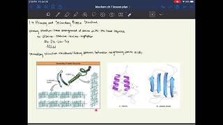 MCAT Biochemistry Chapter 1 Amino Acids Peptides and Proteins [upl. by Anehc]