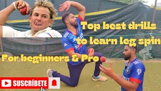 Leg spin bowling drill tutorial to take you from a beginner to a pro in 4 weeks [upl. by Rehpotsyrhc]