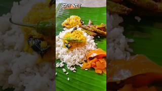 Dal bhatCOOKING VIDEOS cooking viralvideo cookingvideos [upl. by Olli]