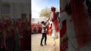 Horse dancing perfume lagave chuni medance youtube dj [upl. by Naaitsirhc]