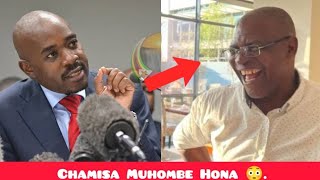 Chamisa Adzoserwa Party Yake  Ncube Dismissed 😳 [upl. by Brandtr]