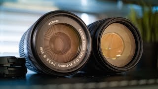 Canon EF 75300mm Lens vs EFS 55250mm STM Lens [upl. by Enomad]